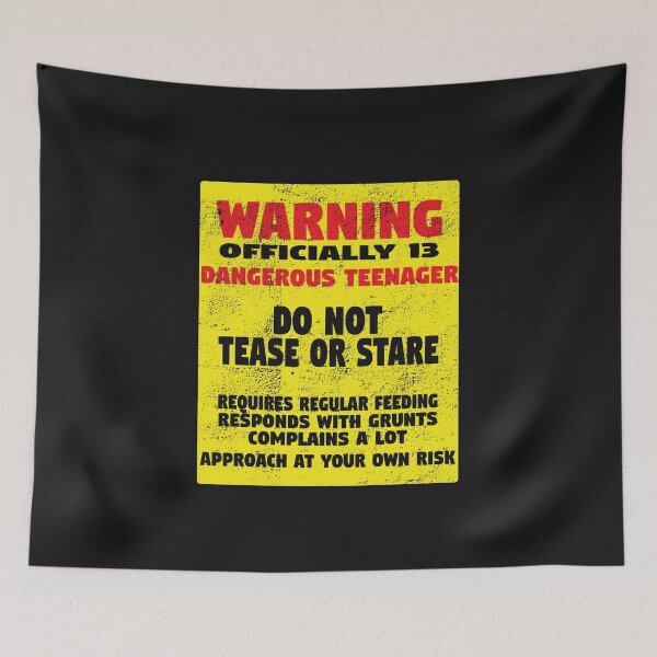 Item preview, 13th Birthday Warning Officially 13 Dangerous Teenager  designed and sold by kudostees.