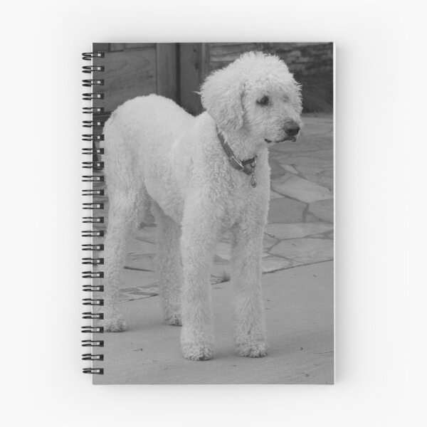 Item preview, Standard Poodle Dog designed and sold by laurafay.