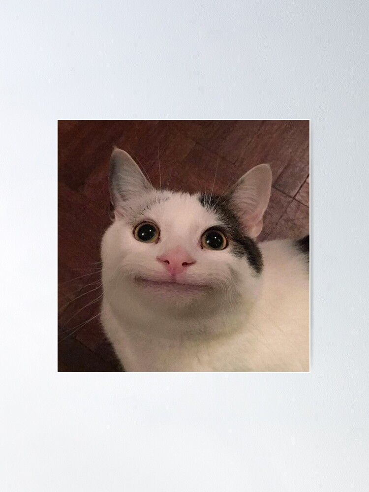 Beluga cat memes playlist for if I am bored 