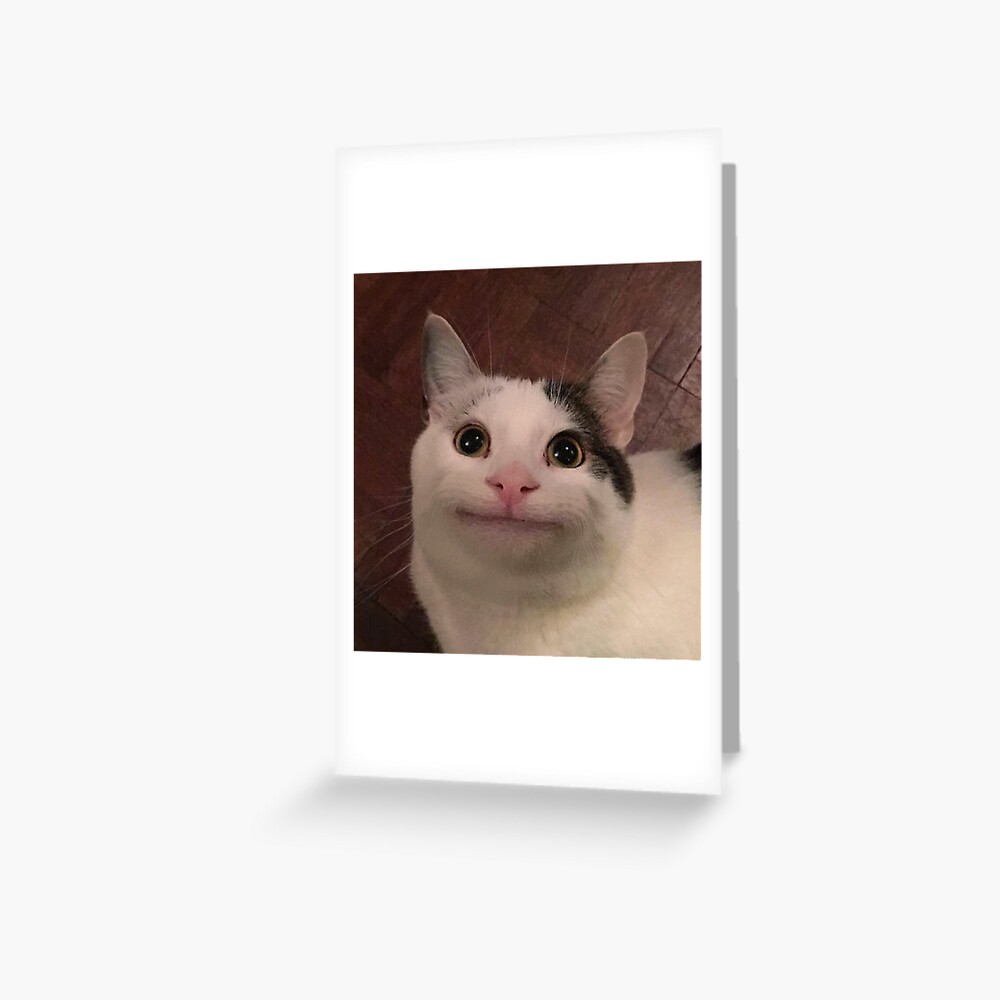 Beluga Cat Poster for Sale by Nagjin