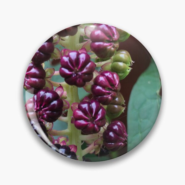 Item preview, Purple flower designed and sold by elaine-gregers.