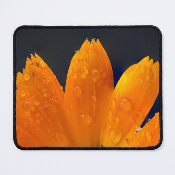 Item preview, A close-up macro photo of beautiful flower petals drenched in dew designed and sold by DesignBoard Photography.