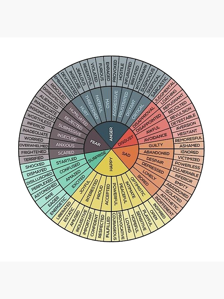 Buy from the Artist: Emotion Sensation Wheel Pillow for Home or Therapy  Office 