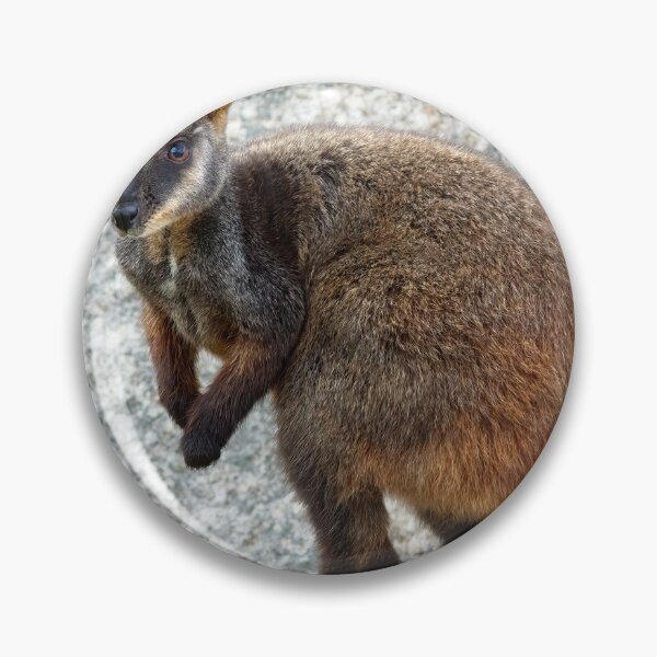 Item preview, Rocky designed and sold by Stephen Ruane.