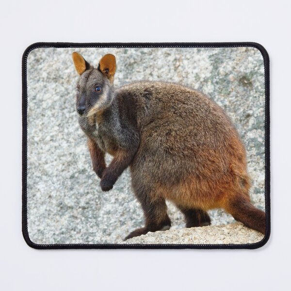 Item preview, Rocky designed and sold by Stephen Ruane.