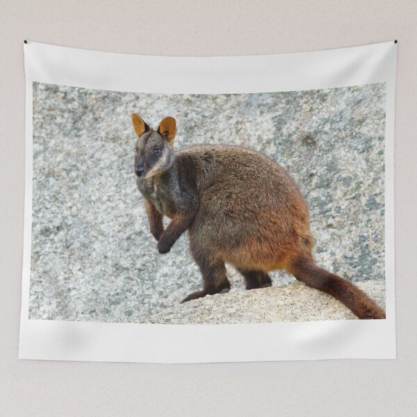 Item preview, Rocky designed and sold by Stephen Ruane.