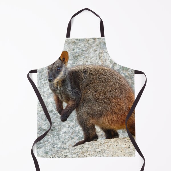 Item preview, Rocky designed and sold by Stephen Ruane.