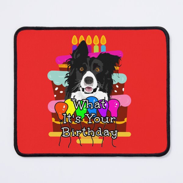 Item preview, Border Collie What It's Your Birthday designed and sold by Willyboy16.