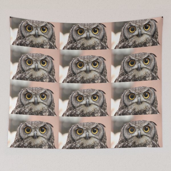 Item preview, Owl eyes designed and sold by Kanchan1987.