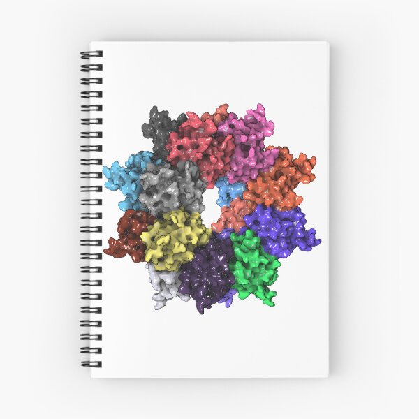 Aperçu de l'œuvre Hexadécamère, structure quaternaire du dessin protéique créée et vendue par jojokhworld.