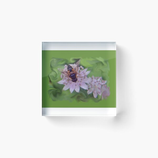 Item preview, Drone Flower C designed and sold by VikingVisual.