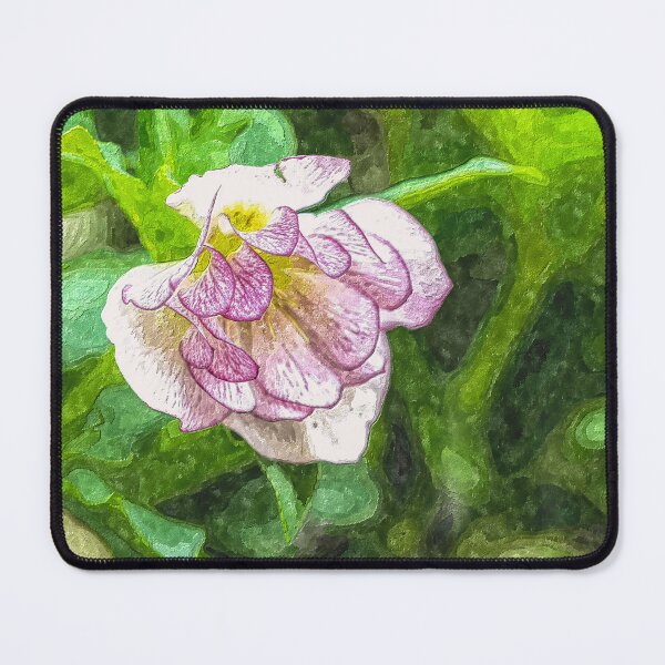Item preview, Pink Hellebore Bloom Painterly designed and sold by mljdwhite.