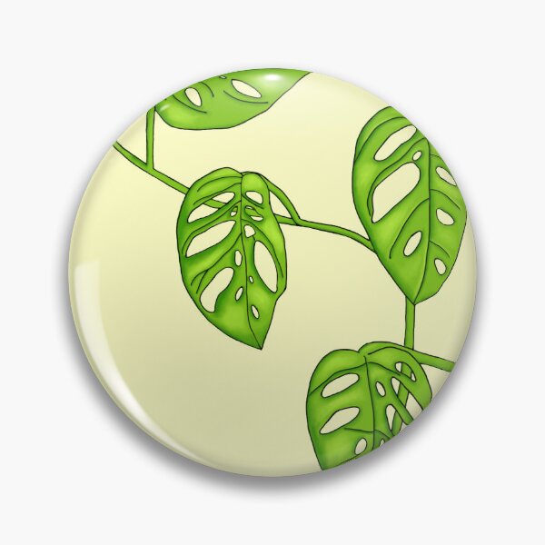 Item preview, Monstera Adansonii Swiss Cheese Plant designed and sold by ddaisies.