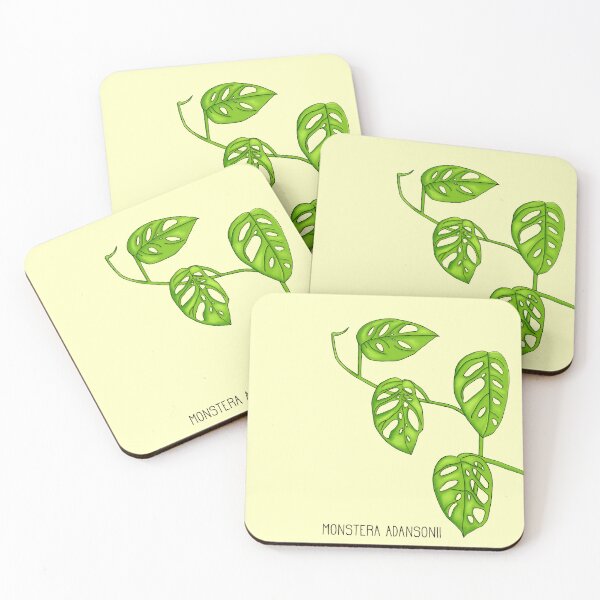 Item preview, Monstera Adansonii Swiss Cheese Plant designed and sold by ddaisies.
