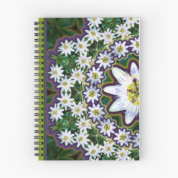 Aperçu de l'œuvre Mandala de la fleur de la passion créée et vendue par Shannon McCarthy.