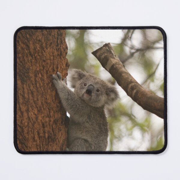 Item preview, Koala cute cupcake designed and sold by LILY ROSE.