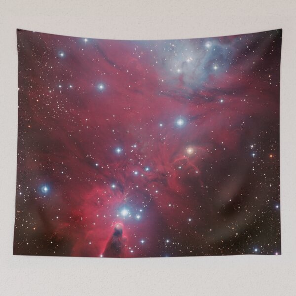 Item preview, Cone Nebula (NGC 2264) and the Christmas Tree cluster (constellation of Monoceros) designed and sold by Raureif.