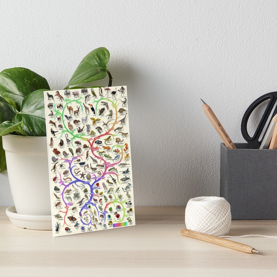 Vista previa del artículo con la obra «Lámina rígida», diseñado y vendido por EvolutionPoster.