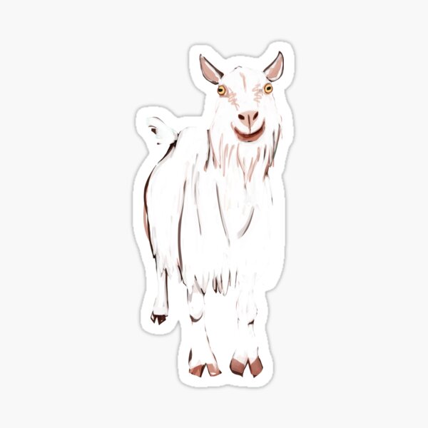 White Goat Anselmi in teal Sticker