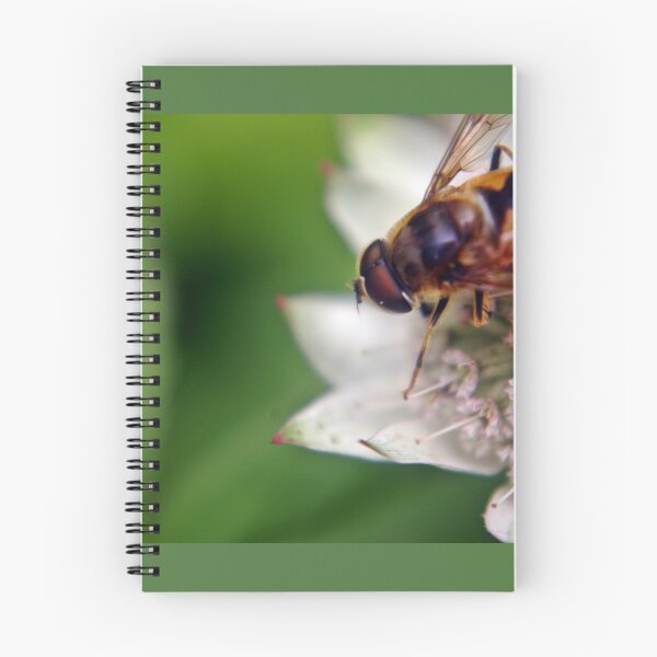 Item preview, Macro Drone Flower A designed and sold by VikingVisual.