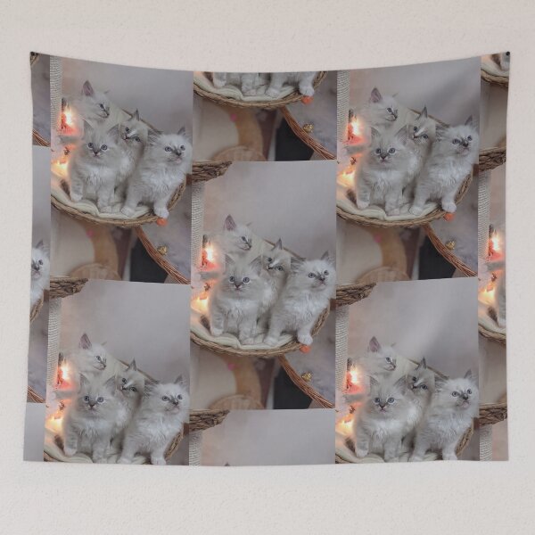 Item preview, Ragdoll kittens designed and sold by Fluffycat2020.