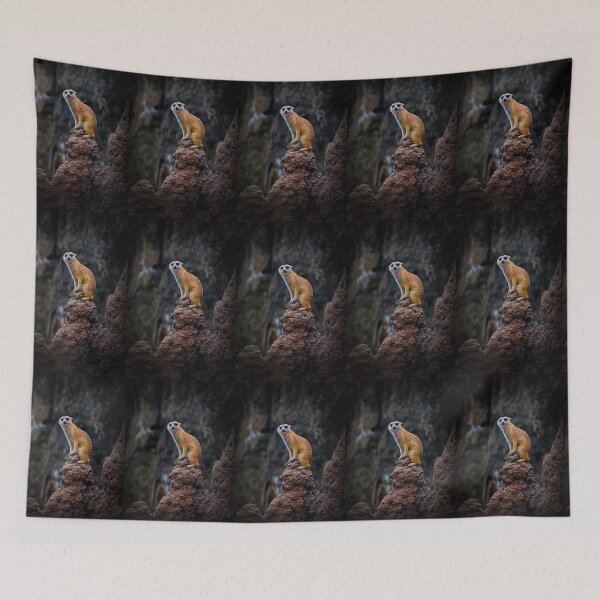 Item preview, A Meercat At Ukumari Zoo, Pereira designed and sold by alabca.