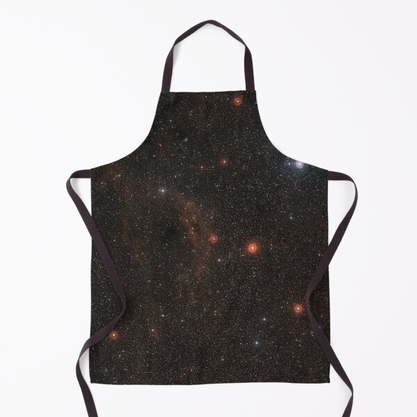 Item preview, Wide-field view of the sky around VY Canis Majoris (constellation of Canis Majoris) designed and sold by Raureif.