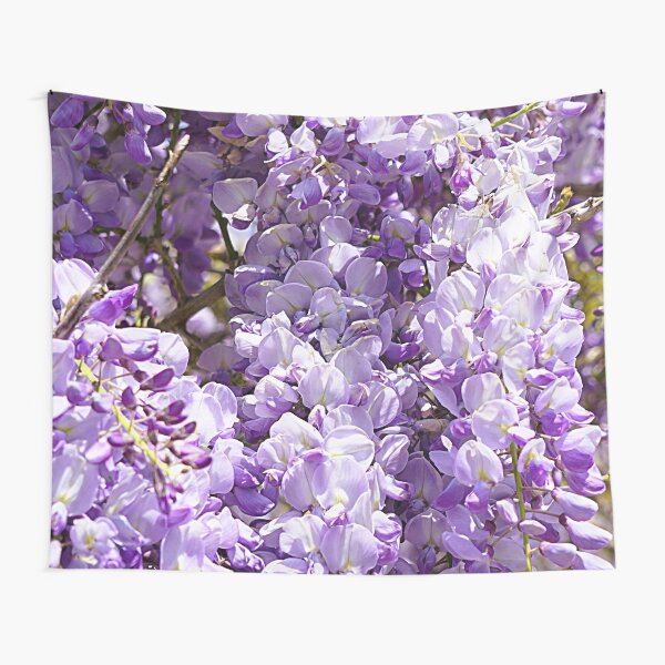 Purple Wisteria blossoming Tapestry