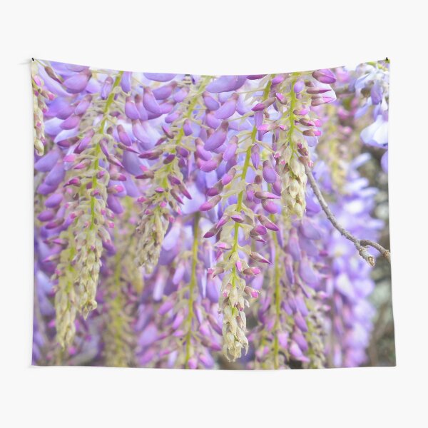 Purple Wisteria flowers Tapestry