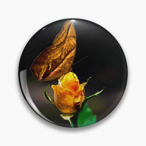 Item preview, Owl Butterfly On A Colorful Rosebud designed and sold by alabca.