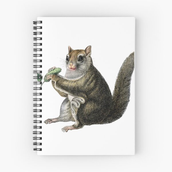 Item preview, Fat Squirrel designed and sold by Adidit.