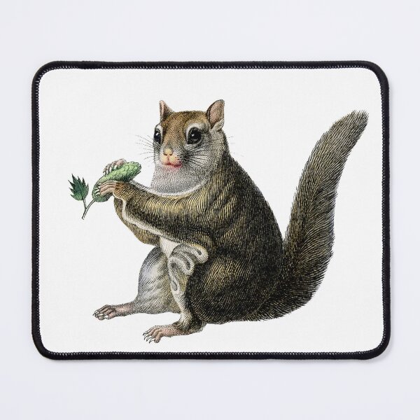 Item preview, Fat Squirrel designed and sold by Adidit.