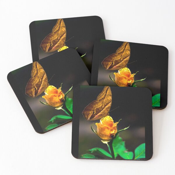 Item preview, Owl Butterfly On A Colorful Rosebud designed and sold by alabca.