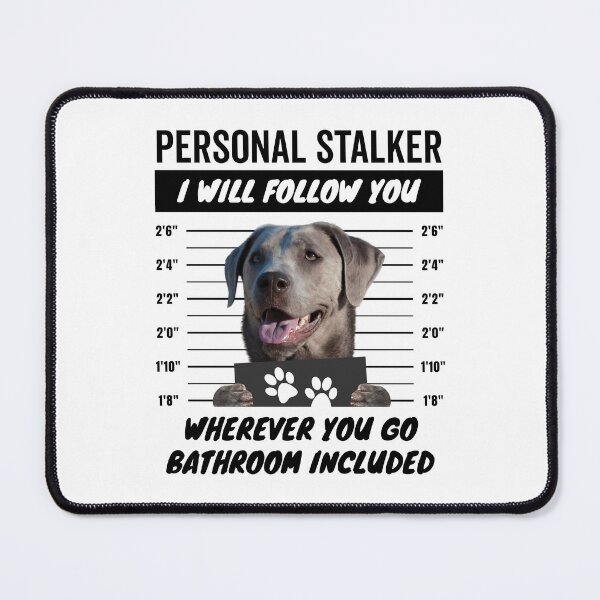 Item preview, Personal Stalker Labrador Retriever Dog – Silver Lab designed and sold by More Cute Dogs.