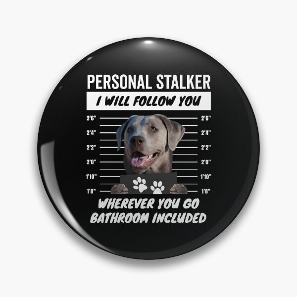 Item preview, Personal Stalker Labrador Retriever Dog – Silver Lab designed and sold by More Cute Dogs.