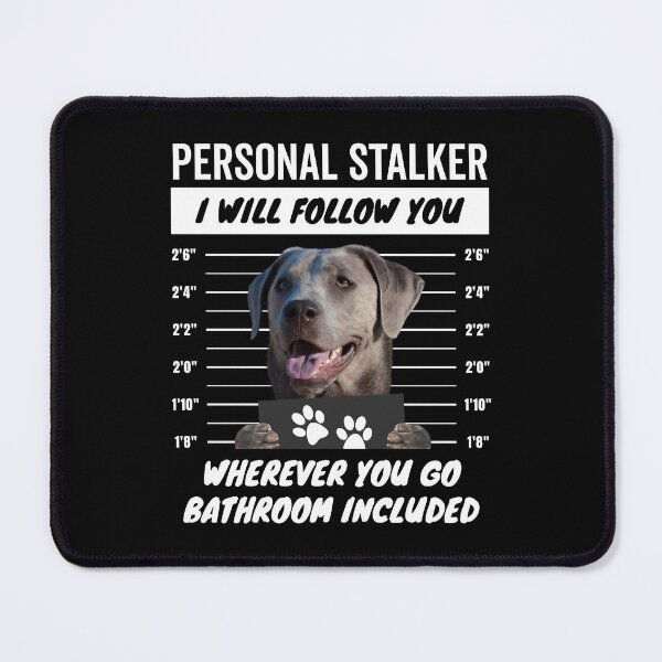 Item preview, Personal Stalker Labrador Retriever Dog – Silver Lab designed and sold by More Cute Dogs.