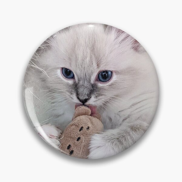 Item preview, Lynx ragdoll kitten designed and sold by Fluffycat2020.