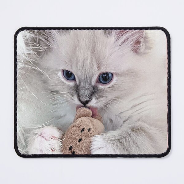 Item preview, Lynx ragdoll kitten designed and sold by Fluffycat2020.