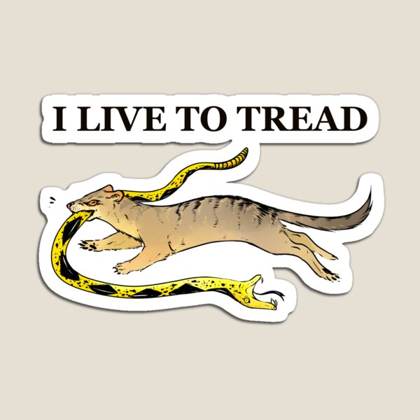 I LIVE TO TREAD- MONGOOSE Magnet
