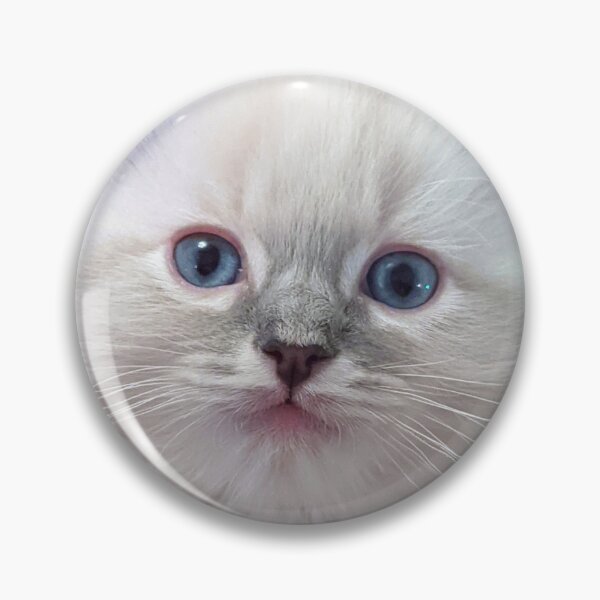 Item preview, Lynx ragdoll kitten designed and sold by Fluffycat2020.