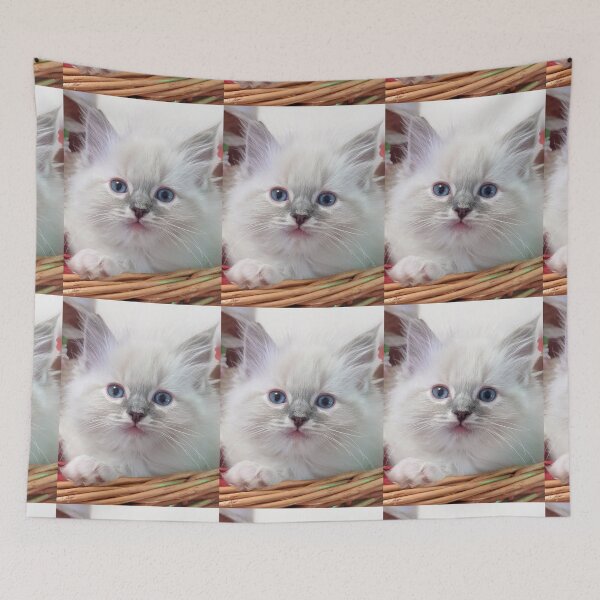 Item preview, Lynx ragdoll kitten designed and sold by Fluffycat2020.