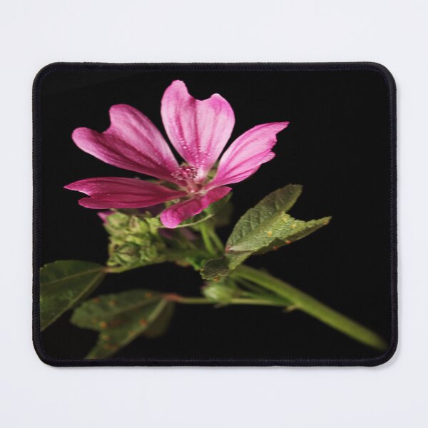 Item preview, Another weed designed and sold by Paul Pasco.