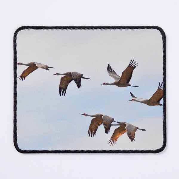 Item preview, Sandhill Cranes Migration Nebraska Birdwatching designed and sold by DesignMore21.