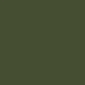 Aperçu de l'œuvre Pine Needle Color Green Plain color de SolidColor