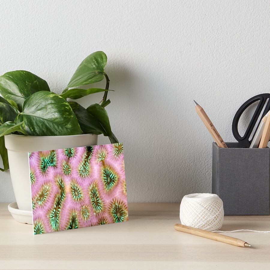 Coral polyp abstract Art Board Print