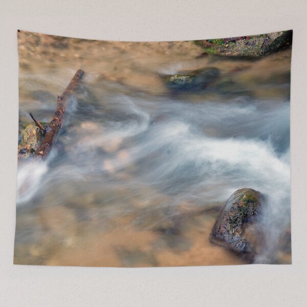Item preview, Branch, trunk and stone in the wild stream designed and sold by frankuffmann.
