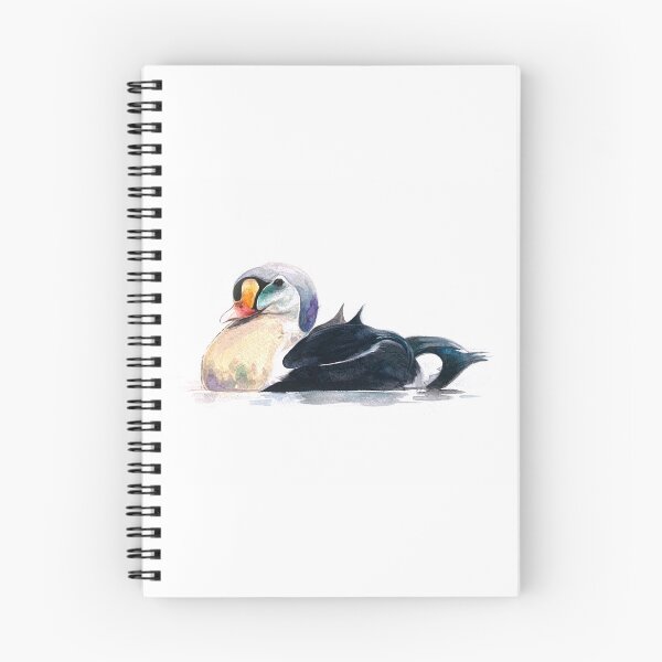 Aperçu de l'œuvre Aquarelle de King Eider créée et vendue par cheezup.