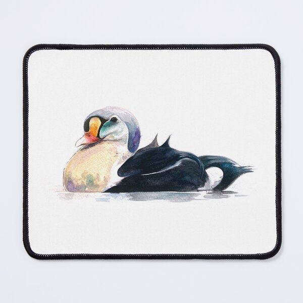 Item preview, King Eider watercolor designed and sold by cheezup.