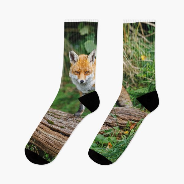 Item preview, Fox Standing on Log designed and sold by Graham Prentice.