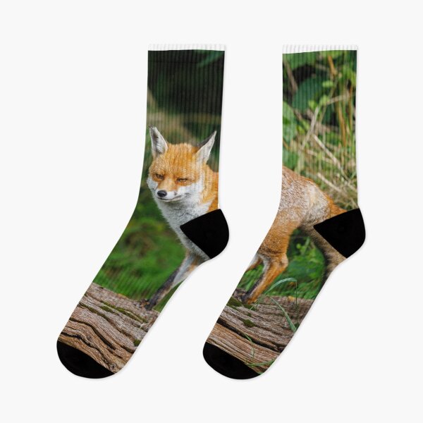 Item preview, Fox Standing on Log designed and sold by Graham Prentice.